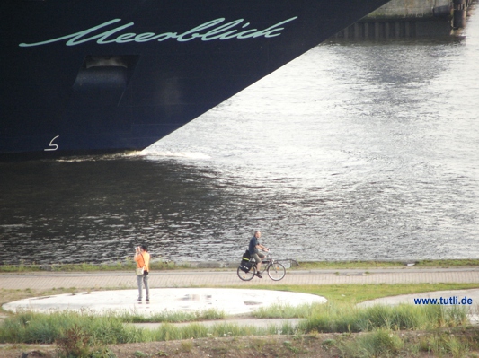 Kreuzfahrtschiff Hamburg Hafencity